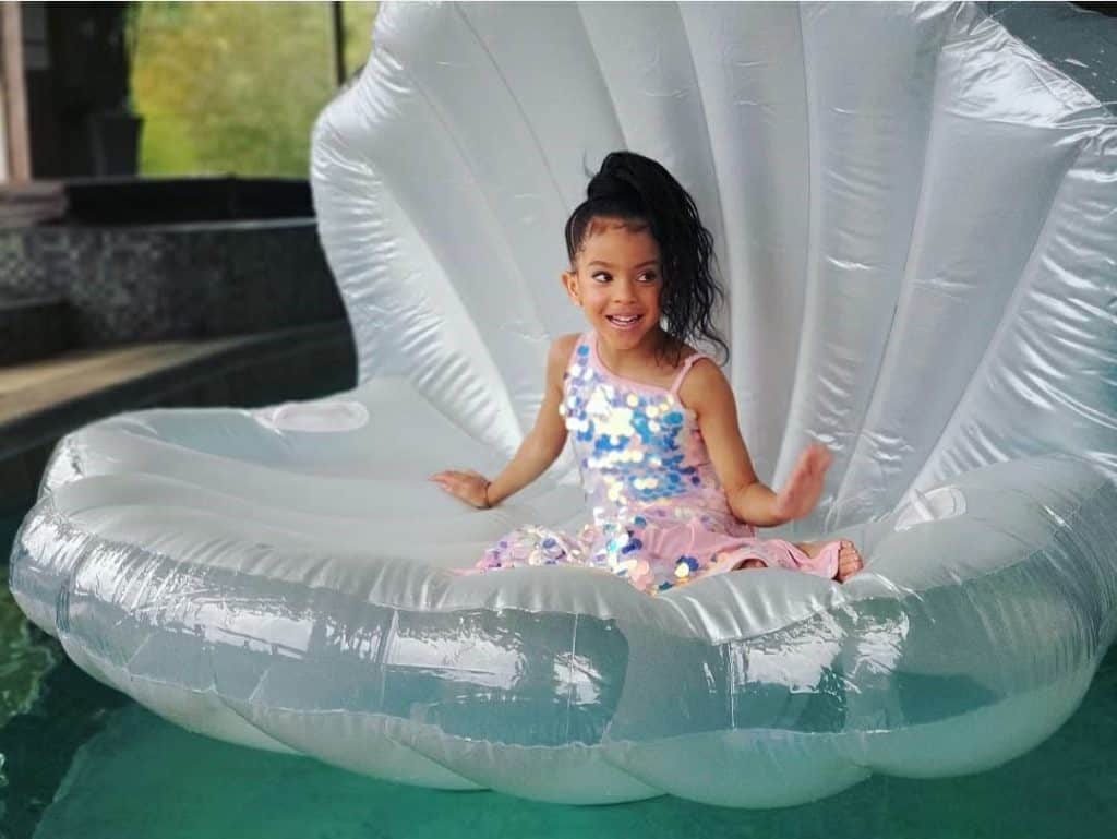 Welcome to my Blog! 17 Phoenix sitting in pretty shell